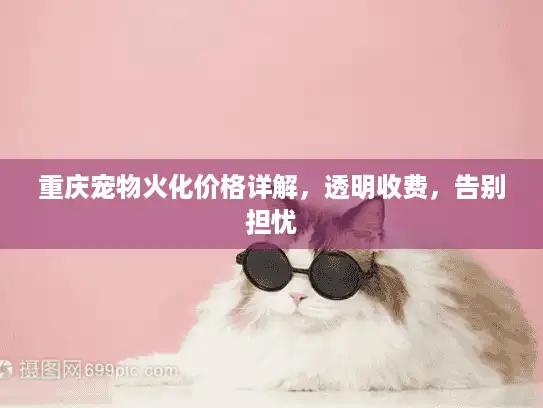 重庆宠物火化价格详解，透明收费，告别担忧