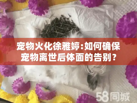 宠物火化徐雅婷:如何确保宠物离世后体面的告别？