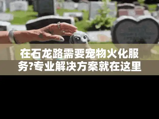 在石龙路需要宠物火化服务?专业解决方案就在这里!