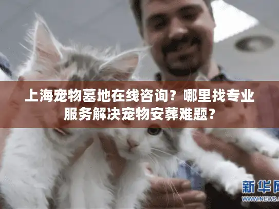 上海宠物墓地在线咨询？哪里找专业服务解决宠物安葬难题？