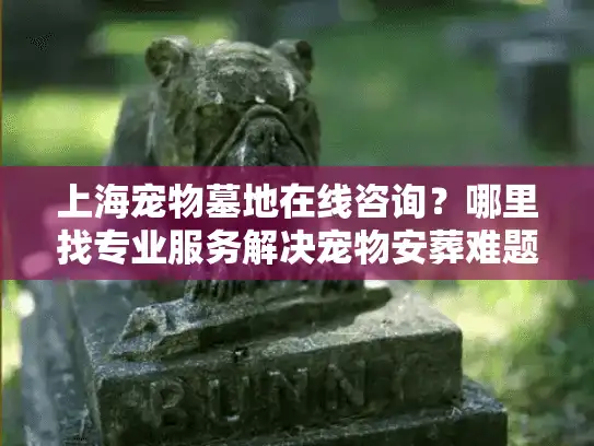 上海宠物墓地在线咨询？哪里找专业服务解决宠物安葬难题？