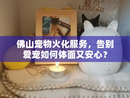 佛山宠物火化服务，告别爱宠如何体面又安心？