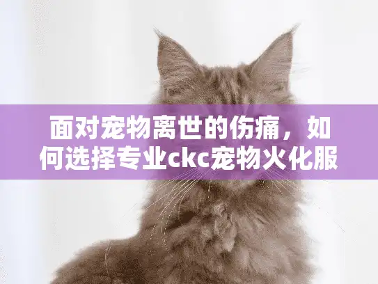 面对宠物离世的伤痛，如何选择专业ckc宠物火化服务？