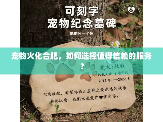 宠物火化合肥，如何选择值得信赖的服务？