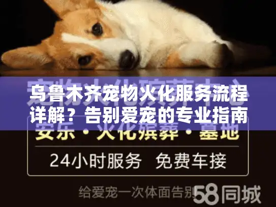 乌鲁木齐宠物火化服务流程详解？告别爱宠的专业指南