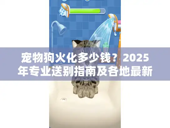 宠物狗火化多少钱？2025年专业送别指南及各地最新费用清单