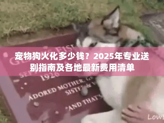 宠物狗火化多少钱？2025年专业送别指南及各地最新费用清单
