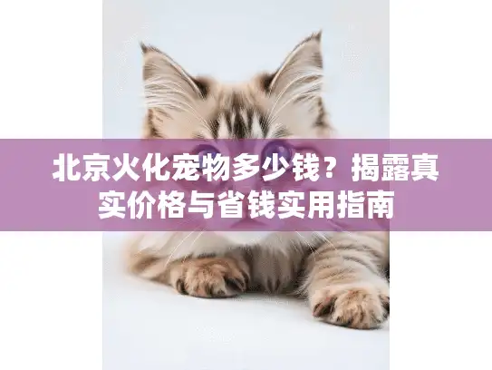 北京火化宠物多少钱？揭露真实价格与省钱实用指南