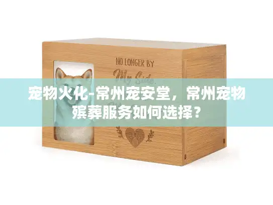 宠物火化-常州宠安堂，常州宠物殡葬服务如何选择？
