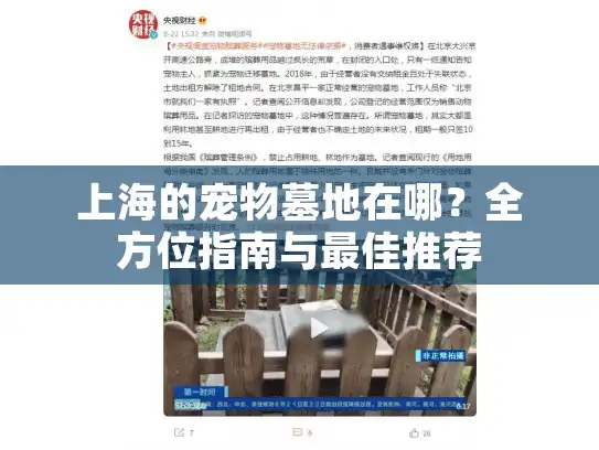 上海的宠物墓地在哪？全方位指南与最佳推荐