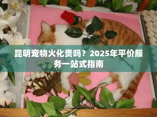 昆明宠物火化贵吗？2025年平价服务一站式指南
