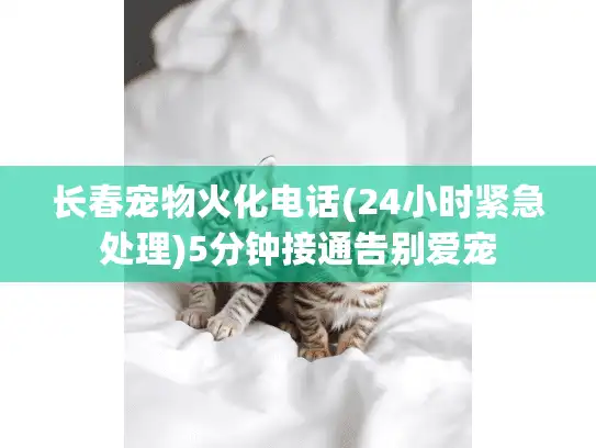 长春宠物火化电话(24小时紧急处理)5分钟接通告别爱宠
