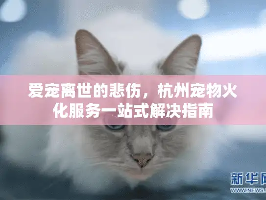 爱宠离世的悲伤，杭州宠物火化服务一站式解决指南