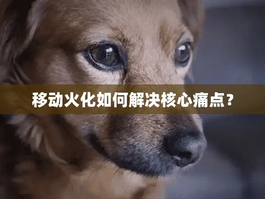 移动火化如何解决核心痛点？