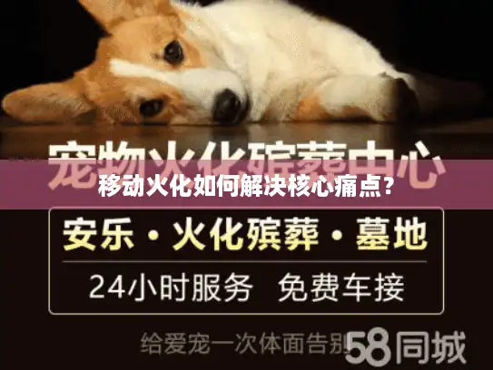 移动火化如何解决核心痛点？