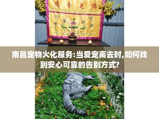 南昌宠物火化服务:当爱宠离去时,如何找到安心可靠的告别方式?