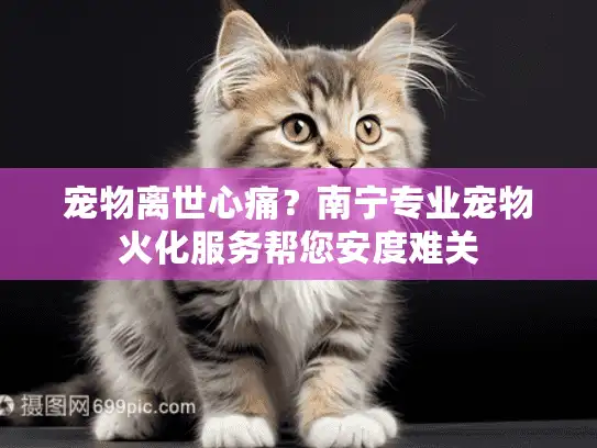 宠物离世心痛？南宁专业宠物火化服务帮您安度难关