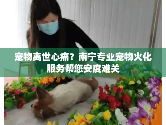 宠物离世心痛？南宁专业宠物火化服务帮您安度难关