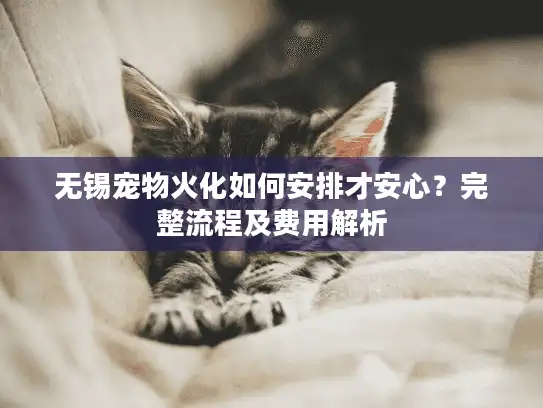 无锡宠物火化如何安排才安心？完整流程及费用解析