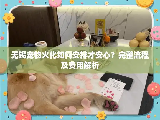 无锡宠物火化如何安排才安心？完整流程及费用解析