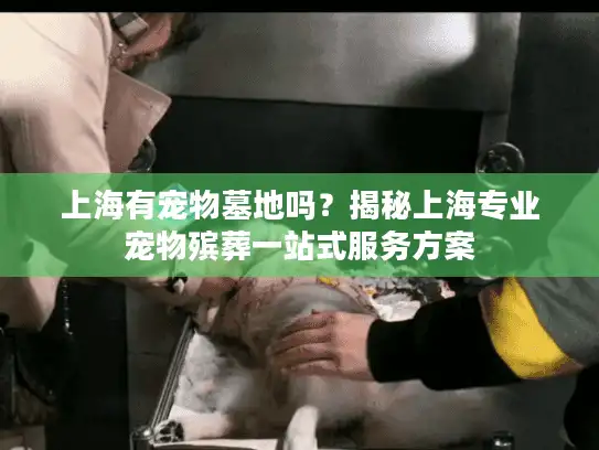 上海有宠物墓地吗？揭秘上海专业宠物殡葬一站式服务方案