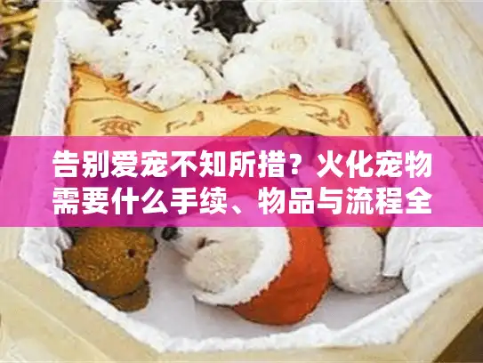 告别爱宠不知所措？火化宠物需要什么手续、物品与流程全指南