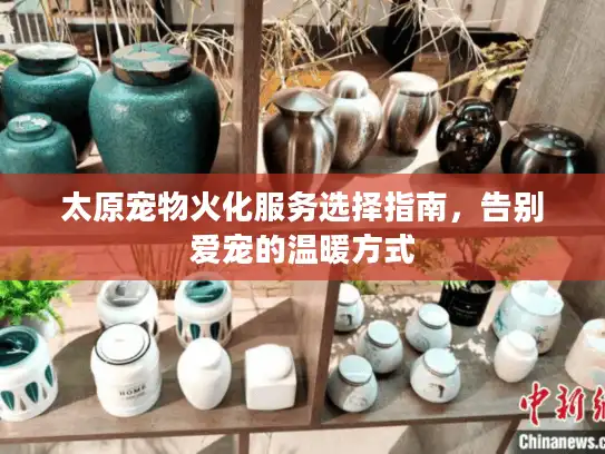 太原宠物火化服务选择指南，告别爱宠的温暖方式