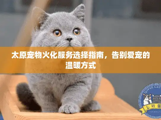 太原宠物火化服务选择指南，告别爱宠的温暖方式