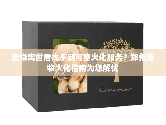 宠物离世后找不到可靠火化服务？郑州宠物火化指南为您解忧
