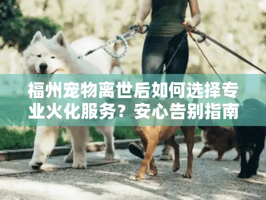 福州宠物离世后如何选择专业火化服务？安心告别指南