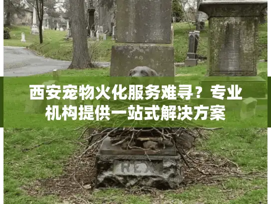 西安宠物火化服务难寻？专业机构提供一站式解决方案