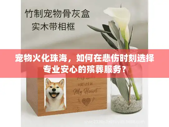 宠物火化珠海，如何在悲伤时刻选择专业安心的殡葬服务？