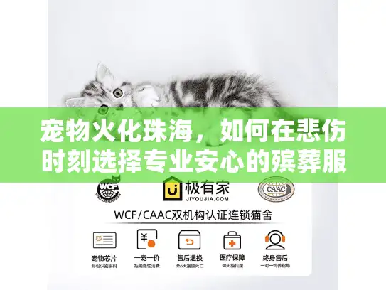 宠物火化珠海，如何在悲伤时刻选择专业安心的殡葬服务？