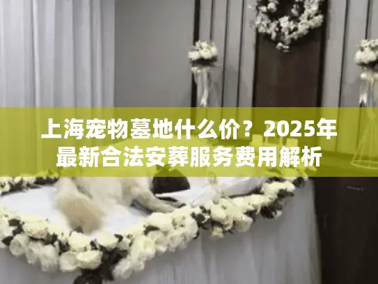 上海宠物墓地什么价？2025年最新合法安葬服务费用解析