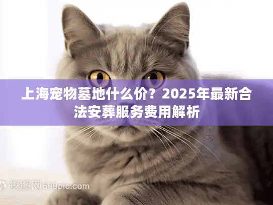 上海宠物墓地什么价？2025年最新合法安葬服务费用解析