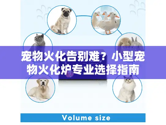 宠物火化告别难？小型宠物火化炉专业选择指南