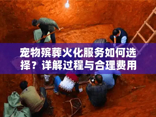 宠物殡葬火化服务如何选择？详解过程与合理费用