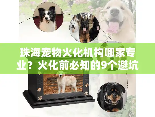 珠海宠物火化机构哪家专业？火化前必知的9个避坑指南