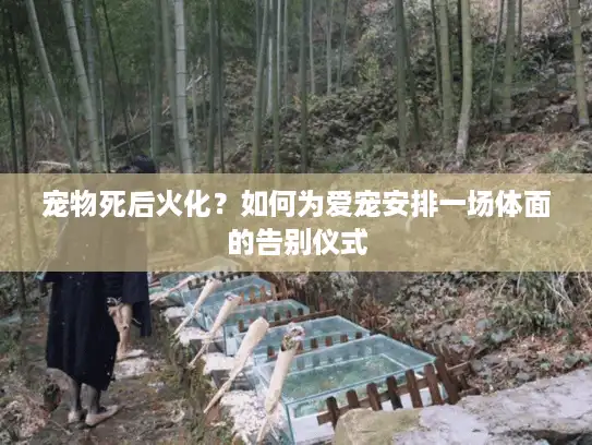 宠物死后火化？如何为爱宠安排一场体面的告别仪式