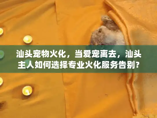 汕头宠物火化，当爱宠离去，汕头主人如何选择专业火化服务告别？