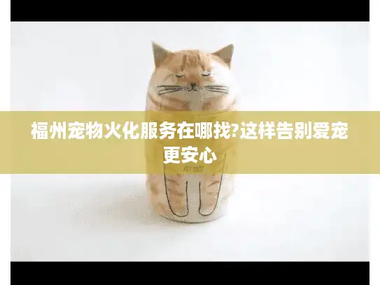 福州宠物火化服务在哪找?这样告别爱宠更安心
