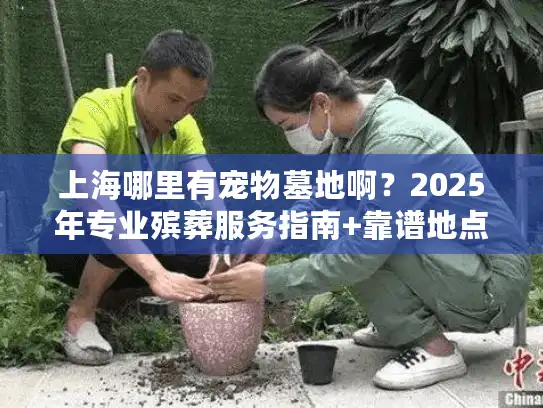 上海哪里有宠物墓地啊？2025年专业殡葬服务指南+靠谱地点盘点