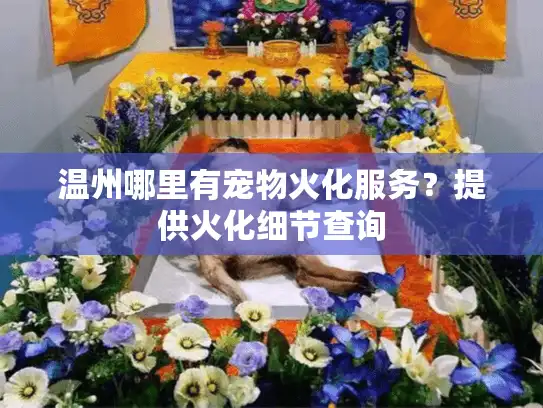 温州哪里有宠物火化服务？提供火化细节查询