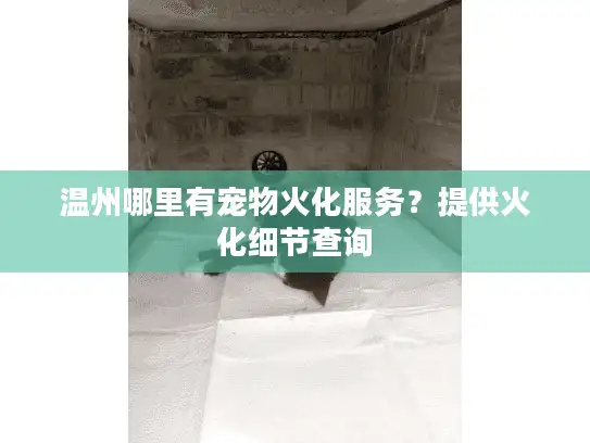 温州哪里有宠物火化服务？提供火化细节查询