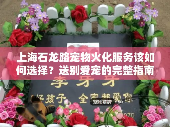 上海石龙路宠物火化服务该如何选择？送别爱宠的完整指南