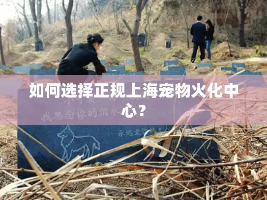 如何选择正规上海宠物火化中心？