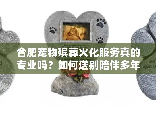 合肥宠物殡葬火化服务真的专业吗？如何送别陪伴多年的家人