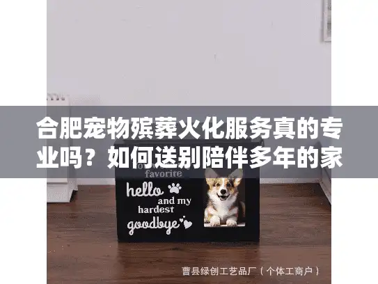 合肥宠物殡葬火化服务真的专业吗？如何送别陪伴多年的家人