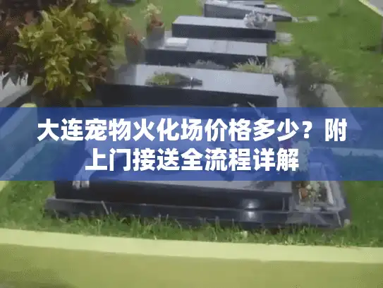 大连宠物火化场价格多少？附上门接送全流程详解