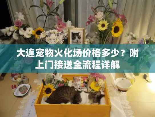 大连宠物火化场价格多少？附上门接送全流程详解